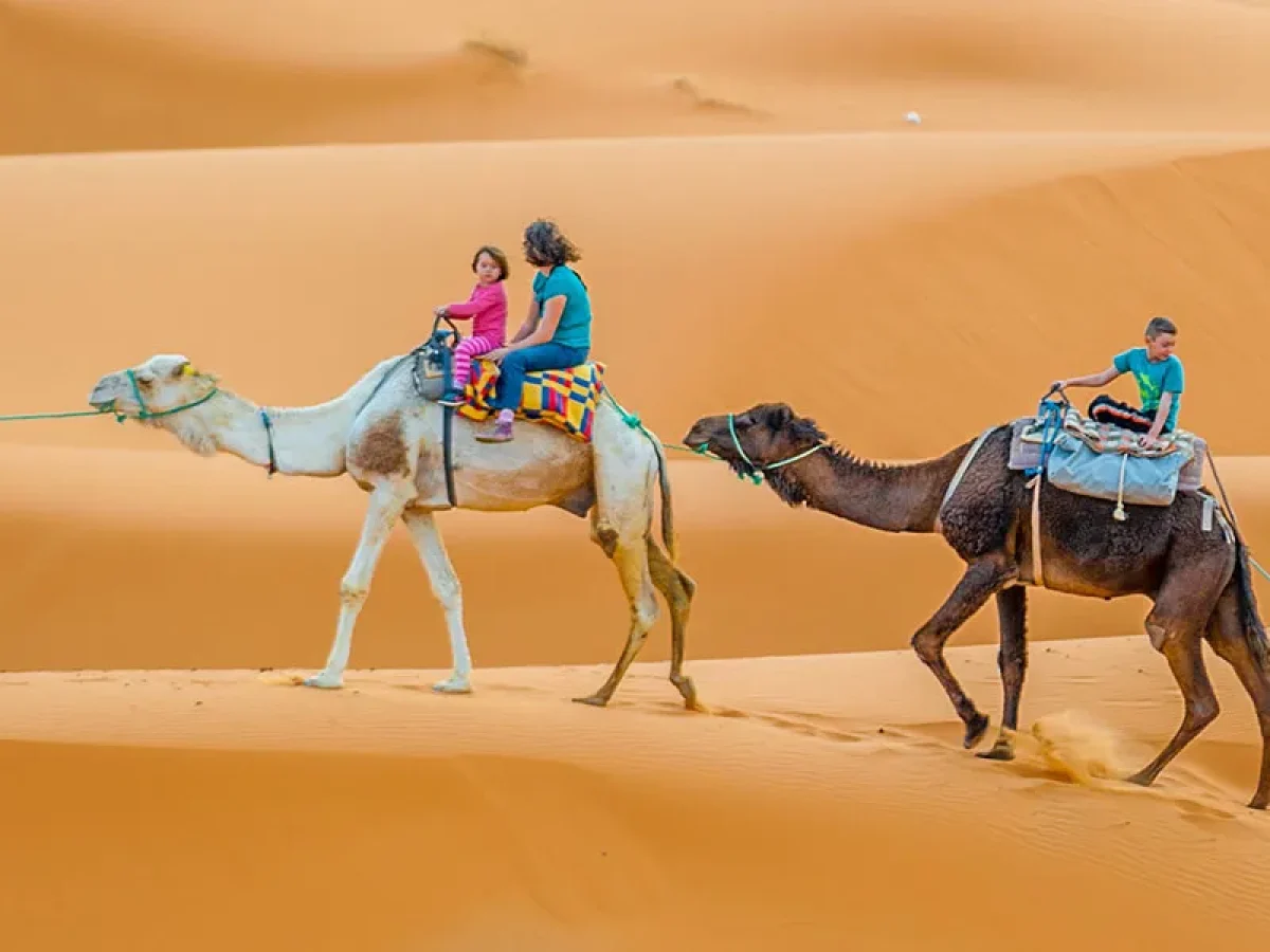 camel desert safari ras al khaimah